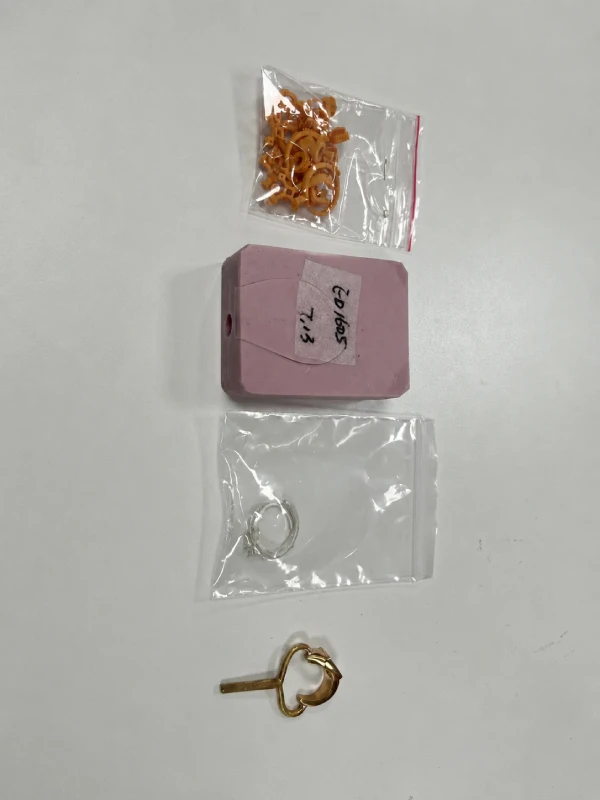 3D printed jewelry development sample prepared by Jinnuo